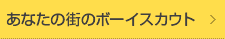 あなたの街のボーイスカウト