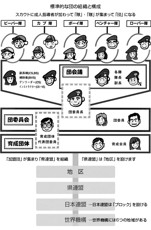 標準的な団の組織と構成